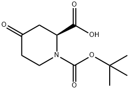 198646-60-5